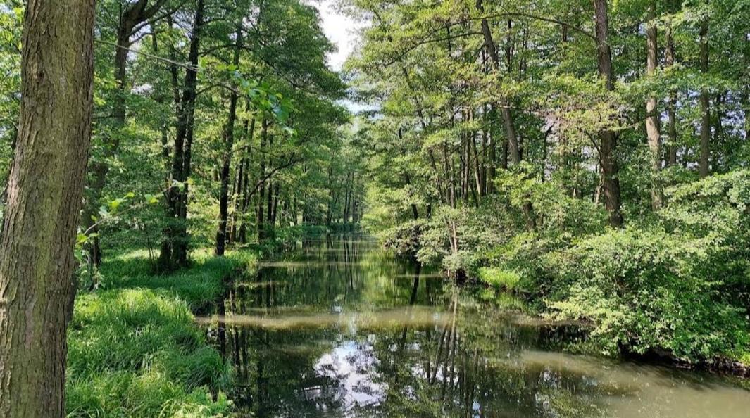 Spreewald Spreemilia Gurkenbude Lübbenau Exterior foto